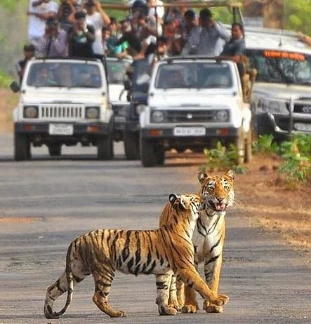जिम कॉर्बेट का नाम रामगंगा किए जाने के संकेत