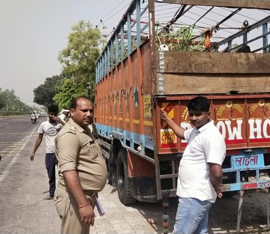 तस्करी के लिए जा रहे 15 गोवंश को पुलिस ने पकड़ा