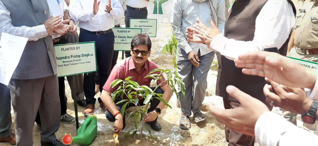 Photo of प्रबन्ध निदेशक राज्य सड़क परिवहन निगम ने किया वृक्षारोपण