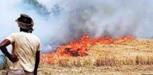 यूपी में प्रदूषण की जगह आय का स्रोत बनेगी पराली पराली निस्तारण के उपाय