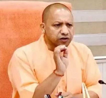 yogi