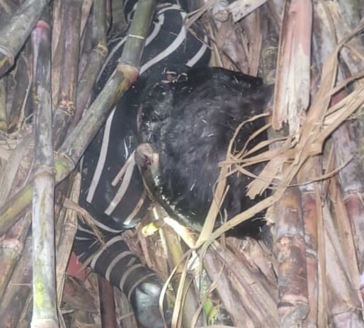 लापता बच्ची का शव हुआ बरामद लापता बच्ची का शव हुआ बरामद