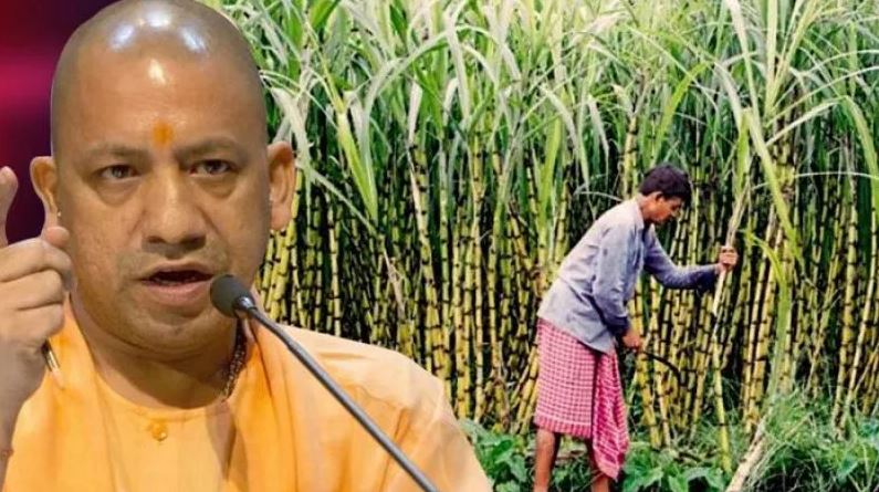 Photo of गन्ने की उपज बढ़ाने पर जोर