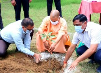 बिजनौर व मुजफ्फरनगर में पौधरोपण करेंगे योगी ब्यूरो निष्पक्ष दस्तक