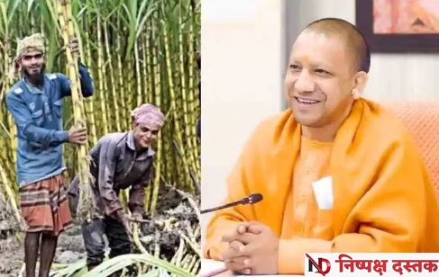 UP में रिकॉर्ड गन्ना किसानों का भुगतान UP में रिकॉर्ड गन्ना किसानों का भुगतान