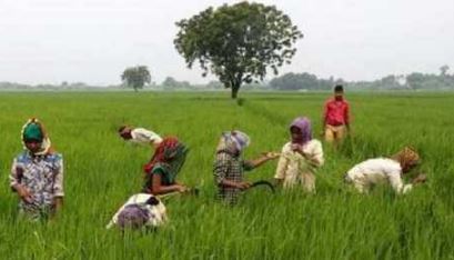 कृषि को कोर सेक्टर में मिली जगह