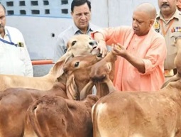 पशु चिकित्सा विज्ञान क्षेत्र में असीम संभावनाएं-मुख्यमंत्री