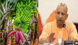 दुबई के शेख चखेंगे पूर्वांचल के फल फूल और पत्तों का स्वाद