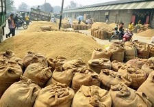 पूर्वी उप्र में पहली नवंबर से होगी धान खरीद पूर्वी उप्र में पहली नवंबर से होगी धान खरीद