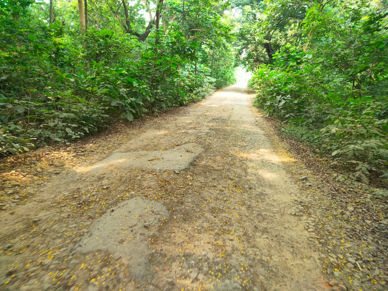Photo of बदहाल सड़क पर गुजरने को मजबूर राहगीर
