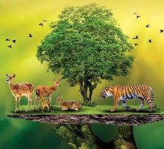 वन्यजीव आवासों पर योगी सरकार का फोकस