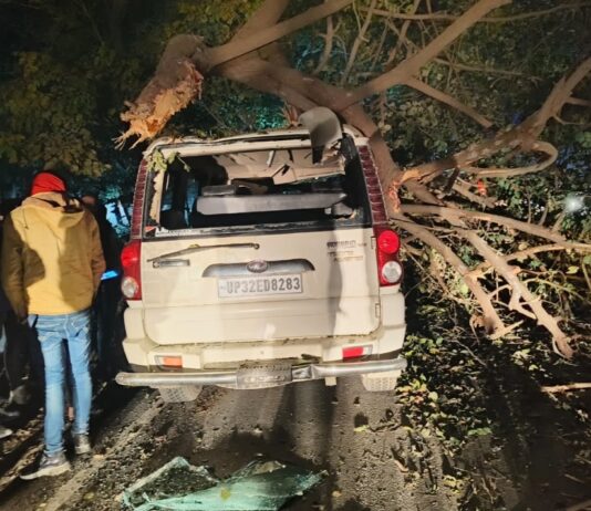 हादसों को दावत देता वन विभाग