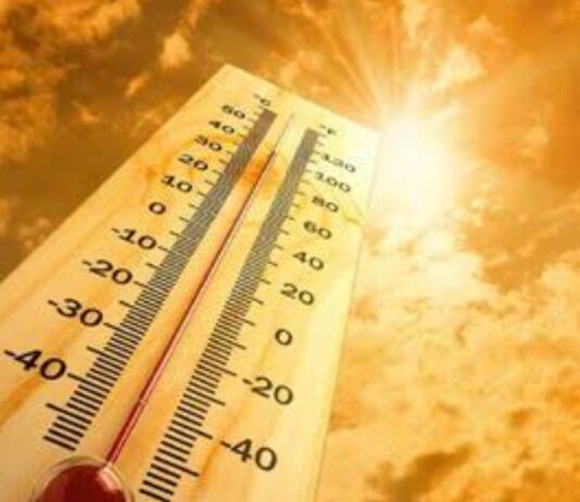 गर्मी में न करें ऐसा काम