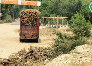 वन माफियाओ के हौशले बुलन्द