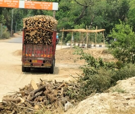 वन माफियाओ के हौशले बुलन्द