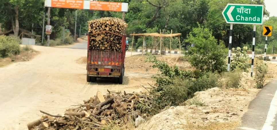 Photo of वन माफियाओ के हौशले बुलन्द