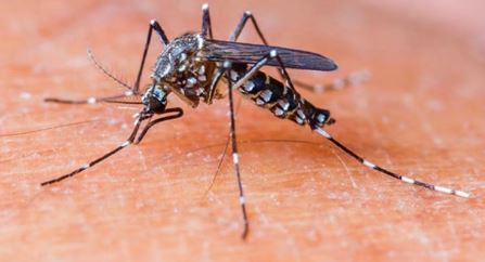 UP 2027 तक होगा मलेरिया मुक्त