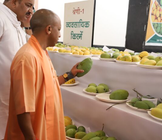 UP जापान और मलेशिया को निर्यात करेगा आम