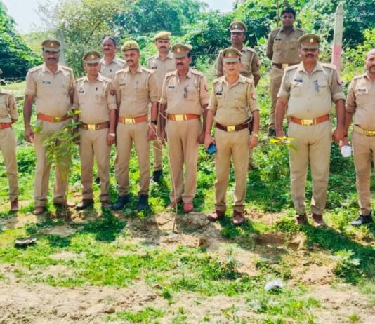 एसओ बाबा बाजार ने किया पौधरोपण