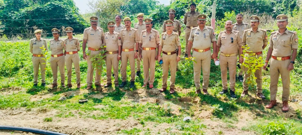 Photo of एसओ बाबा बाजार ने किया पौधरोपण
