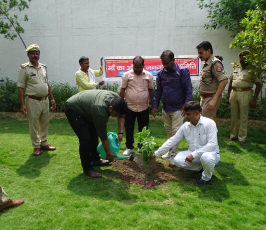 पर्यावरण संतुलन के लिए पौधरोपण जरूरी-अधीक्षक
