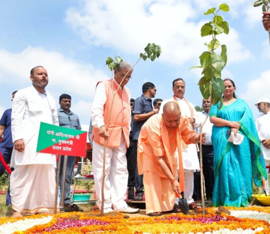 ग्राम्य विकास ने सर्वाधिक 13.54 करोड़ पौध लगवाए ग्राम्य विकास ने सर्वाधिक 13.54 करोड़ पौध लगवाए