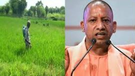 अन्नदाता की आय बढ़ाने को प्रतिबद्ध प्रदेश सरकार अन्नदाता की आय बढ़ाने को प्रतिबद्ध प्रदेश सरकार