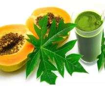 वरदान है पपीते के पत्ते का रस…