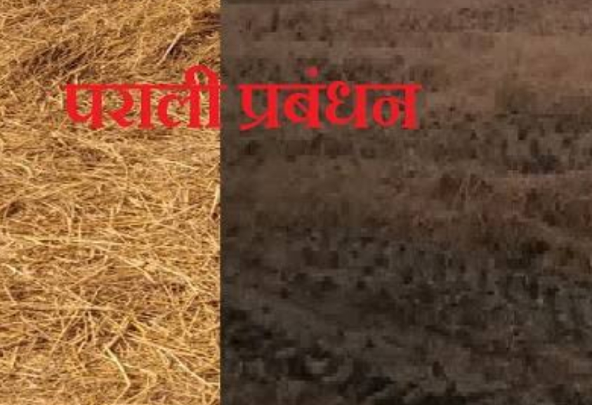 Photo of वेस्ट से वेल्थ बन रही पराली