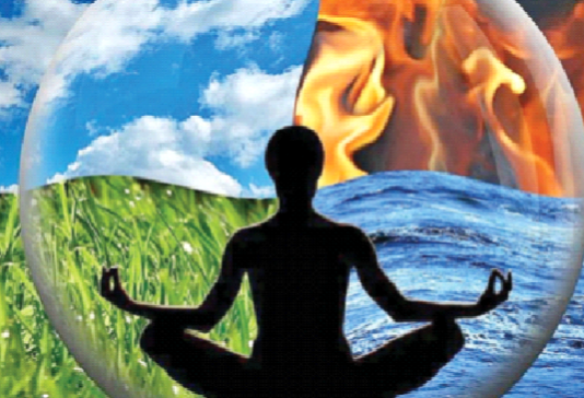 हिन्दुत्व जीवन शैली में पर्यावरण संरक्षण अन्तर्निहित