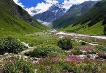 प्रकृति का खजाना है देवभूमि उत्तराखंड प्रकृति का खजाना है देवभूमि उत्तराखंड