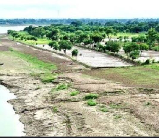 प्राकृतिक खेती से गंगा को प्रदूषणमुक्त बना रही योगी सरकार