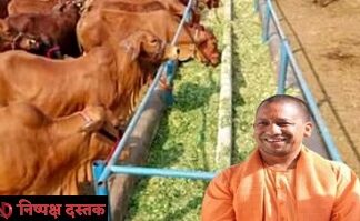 गांवों में चारागाह विकास पर योगी सरकार का फोकस गांवों में चारागाह विकास पर योगी सरकार का फोकस