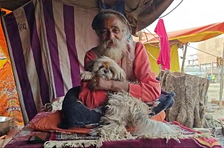 संतों के साथ बेजुबानों को भी रास आ रहा महाकुम्भ नगर संतों के साथ बेजुबानों को भी रास आ रहा महाकुम्भ नगर