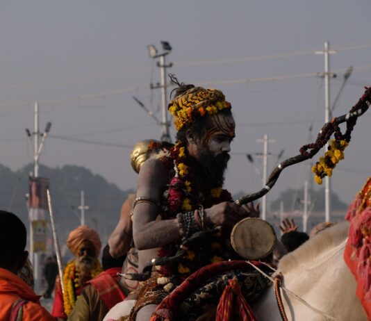 महाकुम्भ में प्रवाहित हो रही त्याग,संयम और संकल्प की त्रिवेणी