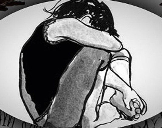 भारत के घरेलू कामगार:क्यों है दरकिनार..?