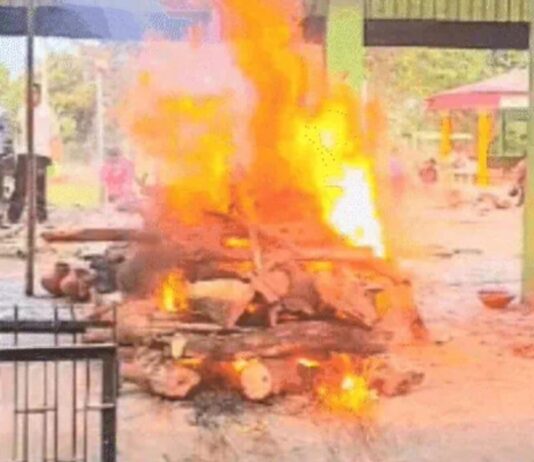 दुल्हन की गला दबाकर हत्या कर दूल्हे ने दी थी जान