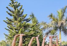 योगासन में सर्वोत्तम है सूर्य नमस्कार योगासन में सर्वोत्तम है सूर्य नमस्कार