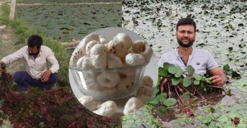 'मखाना खेती' को केंद्र की सौगात 'मखाना खेती' को केंद्र की सौगात