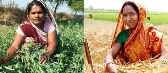 क्या महिला किसानों तक पहुँच रही है तकनीक..? क्या महिला किसानों तक पहुँच रही है तकनीक..?