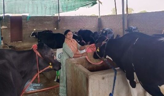 योगी सरकार का सहारा,लखपति बनी सोनभद्र की विनीता योगी सरकार का सहारा,लखपति बनी सोनभद्र की विनीता