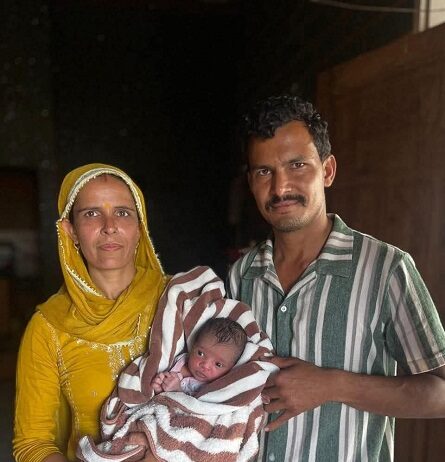 झाड़ियों से जीवन तक झाड़ियों से जीवन तक