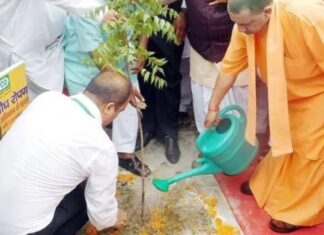 जनपदों में लगेगा ‘एक पेड़ मां के नाम’- योगी जनपदों में लगेगा 'एक पेड़ मां के नाम'- योगी