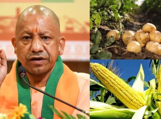 खेत से सीधा बाजार तक: यूपी सरकार की कृषि मूल्य श्रृंखला योजना खेत से सीधा बाजार तक: यूपी सरकार की कृषि मूल्य श्रृंखला योजना