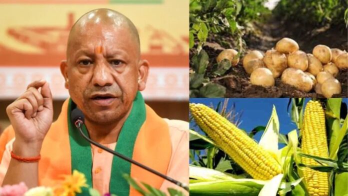 खेत से सीधा बाजार तक: यूपी सरकार की कृषि मूल्य श्रृंखला योजना खेत से सीधा बाजार तक: यूपी सरकार की कृषि मूल्य श्रृंखला योजना
