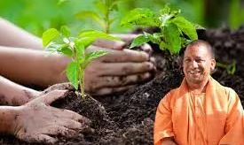 मनरेगा के जरिए रोपे जाएंगे साढ़े बारह करोड़ पौधे मनरेगा के जरिए रोपे जाएंगे साढ़े बारह करोड़ पौधे