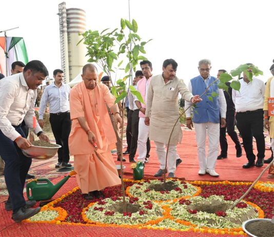वन विभाग ने जारी की 2020-25 में रोपित पौधों की जीवितता रिपोर्ट वन विभाग ने जारी की 2020-25 में रोपित पौधों की जीवितता रिपोर्ट