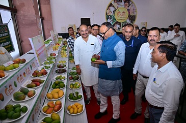 उत्तर प्रदेश का आम बना अंतरराष्ट्रीय ब्रांड-ब्रजेश पाठक उत्तर प्रदेश का आम बना अंतरराष्ट्रीय ब्रांड-ब्रजेश पाठक