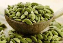 हरी इलायची खाना किन बीमारियों में सहायक..? हरी इलायची खाना किन बीमारियों में सहायक..?