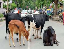 एबीसी केन्द्र होंगे और मज़बूत, यूपी सरकार ने बनाई रणनीति एबीसी केन्द्र होंगे और मज़बूत, यूपी सरकार ने बनाई रणनीति